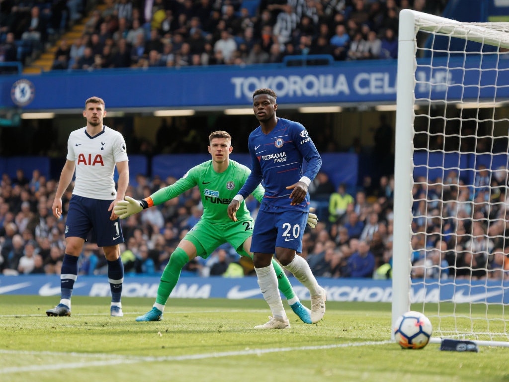 网不断进行 网不断进行