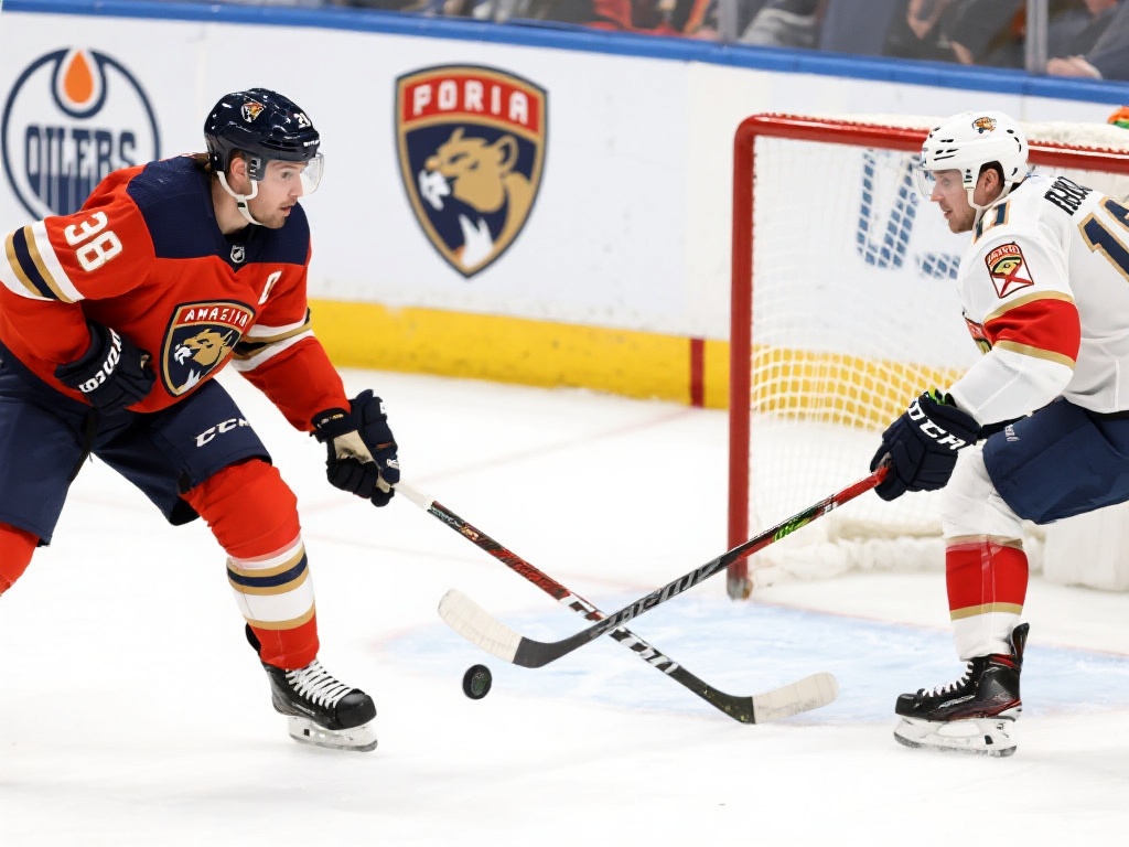 及的优惠 及的优惠