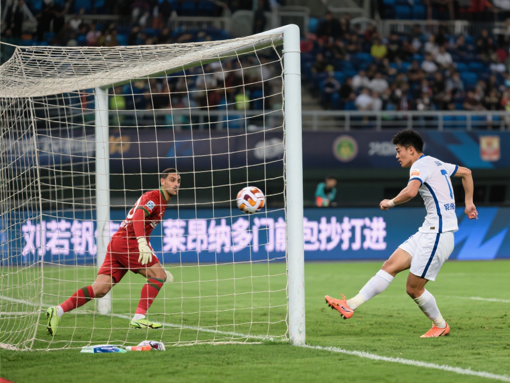 灵活性的提 灵活性的提